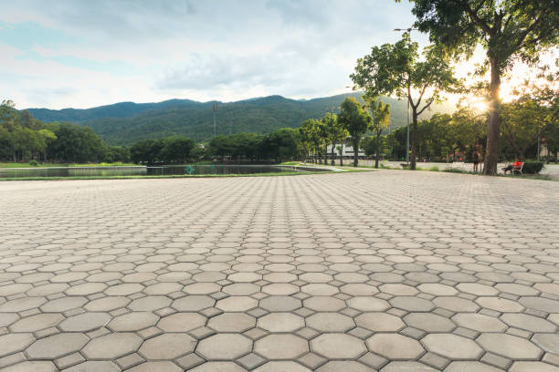 Best Residential Driveway Paver Services  in Glasgow Village, MO